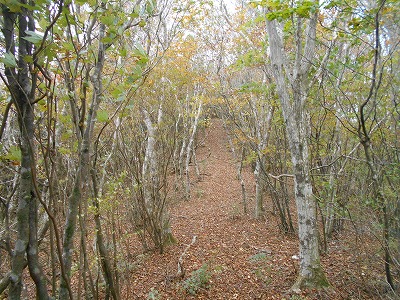 f0308898_8101044.jpg