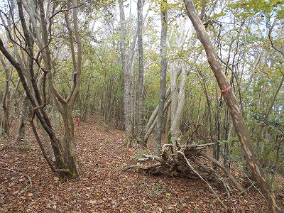 f0308898_8101646.jpg
