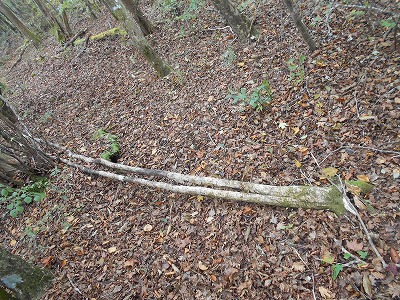 f0308898_8102531.jpg