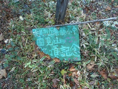 f0308898_810377.jpg