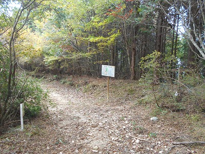 f0308898_8123013.jpg