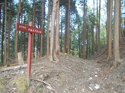 f0308898_8125244.jpg