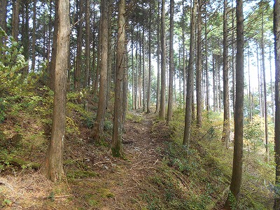 f0308898_8132495.jpg