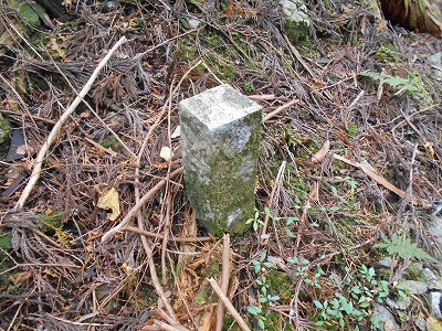 f0308898_8143799.jpg