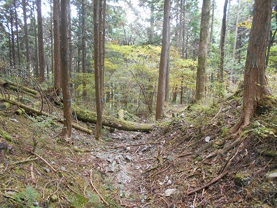 f0308898_8144465.jpg