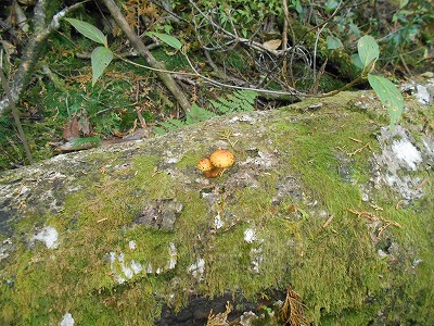 f0308898_8145156.jpg