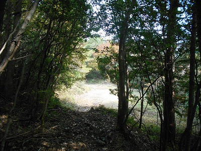 f0308898_8151618.jpg