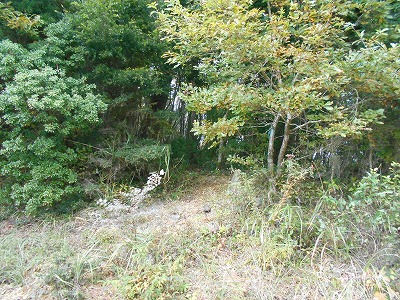 f0308898_8153021.jpg
