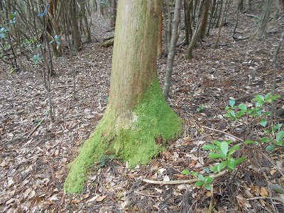 f0308898_8154476.jpg