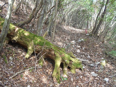 f0308898_815896.jpg
