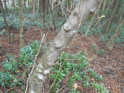 f0308898_8161872.jpg