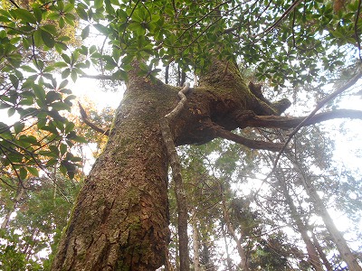 f0308898_8162654.jpg