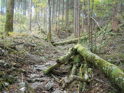 f0308898_816423.jpg