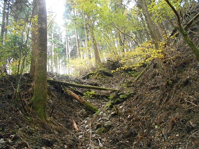 f0308898_8164868.jpg