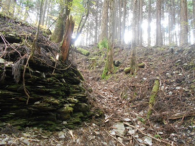 f0308898_8165689.jpg