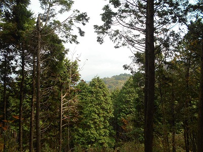 f0308898_8183146.jpg