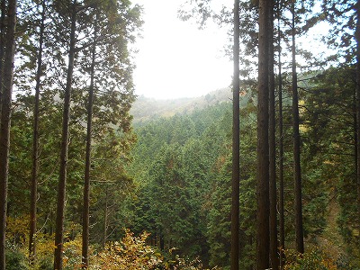 f0308898_8183867.jpg