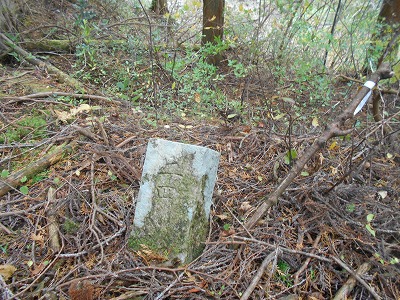 f0308898_8184583.jpg