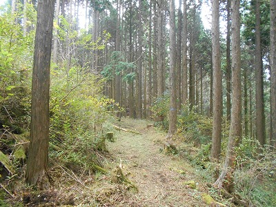 f0308898_8185286.jpg