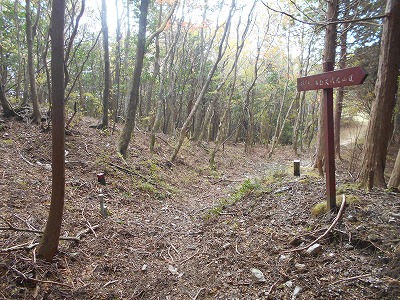 f0308898_8191655.jpg