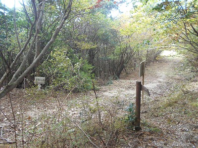 f0308898_8192311.jpg