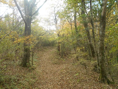 f0308898_8193834.jpg