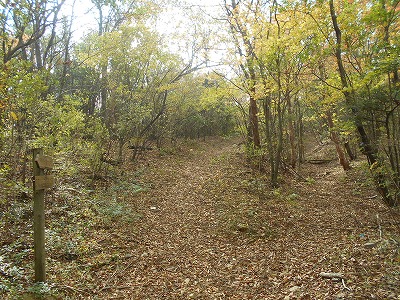 f0308898_819455.jpg