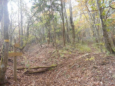 f0308898_8195215.jpg