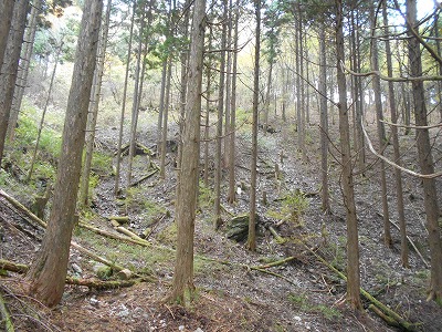 f0308898_819759.jpg