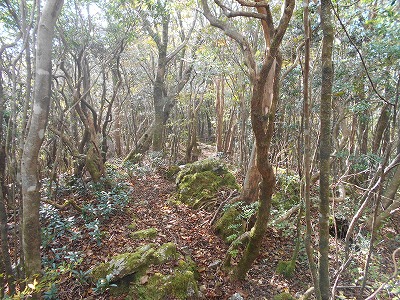 f0308898_8201083.jpg
