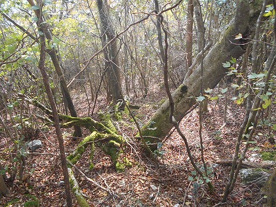 f0308898_8201769.jpg