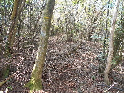 f0308898_8203025.jpg