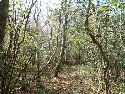 f0308898_8204485.jpg