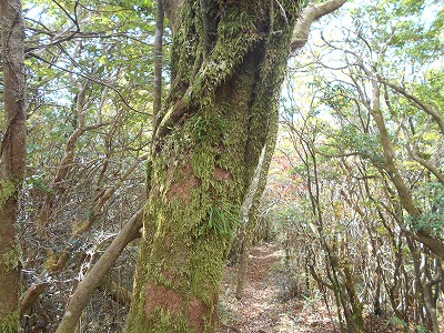 f0308898_8205111.jpg