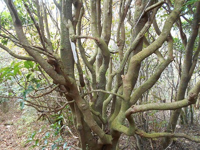 f0308898_821114.jpg