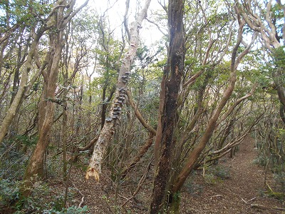 f0308898_8212475.jpg