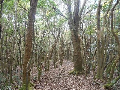 f0308898_8213855.jpg