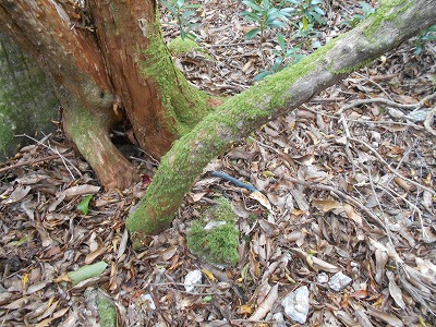 f0308898_8245499.jpg