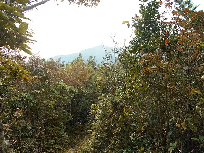 f0308898_825152.jpg