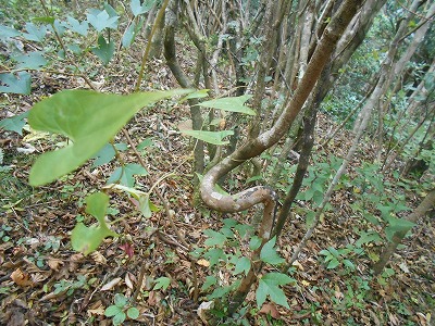 f0308898_8252532.jpg