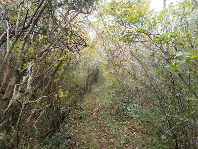 f0308898_8253596.jpg