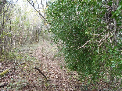 f0308898_8254249.jpg