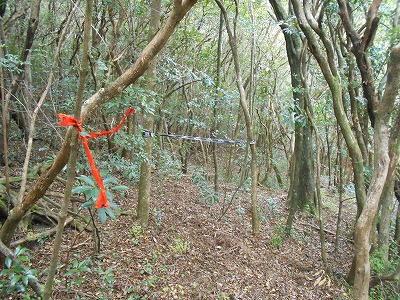 f0308898_8254815.jpg