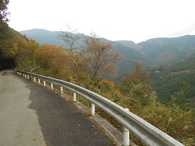 f0308898_8261210.jpg