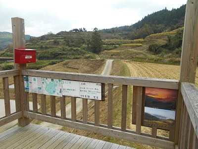 f0308898_826504.jpg