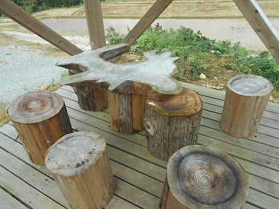 f0308898_8265825.jpg