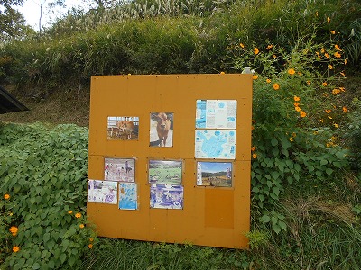 f0308898_8272491.jpg