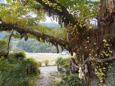 f0308898_8275024.jpg