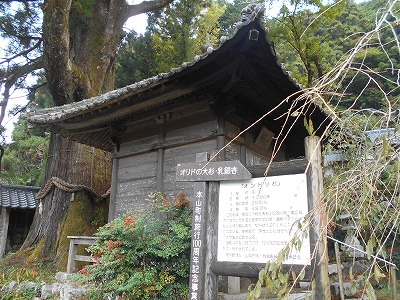 f0308898_8275991.jpg