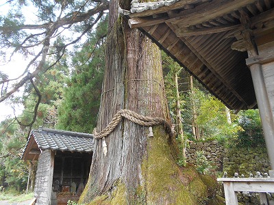 f0308898_828657.jpg